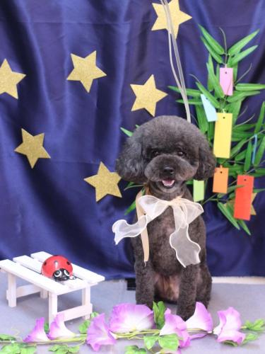 20230720ボーロくん